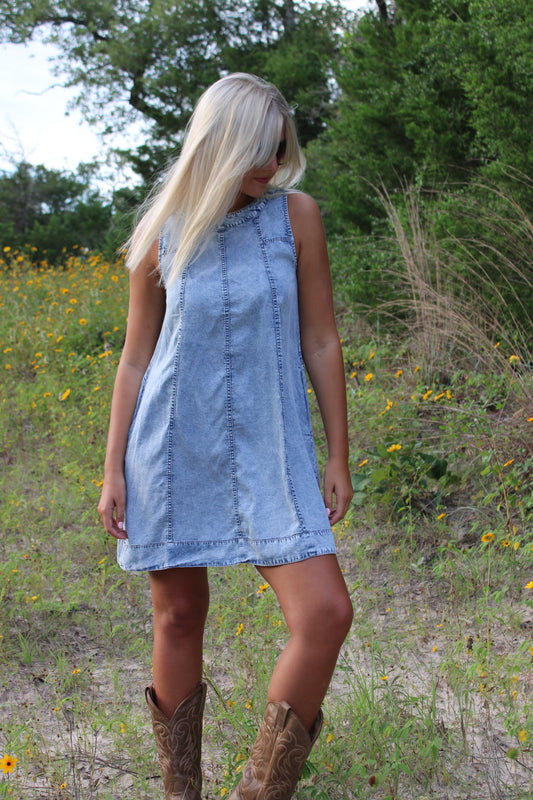 Sophie Chambray Mini Dress
