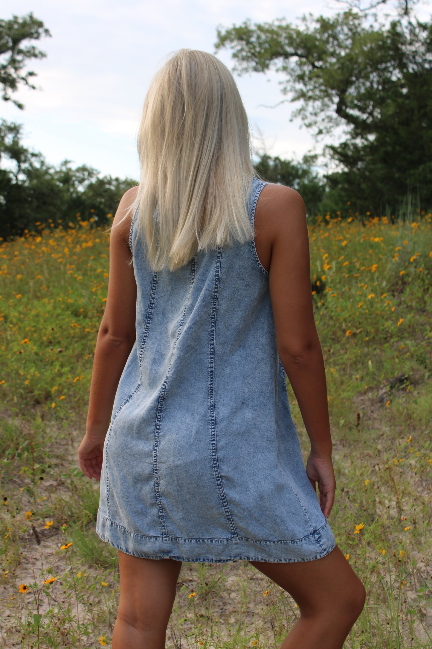 Sophie Chambray Mini Dress