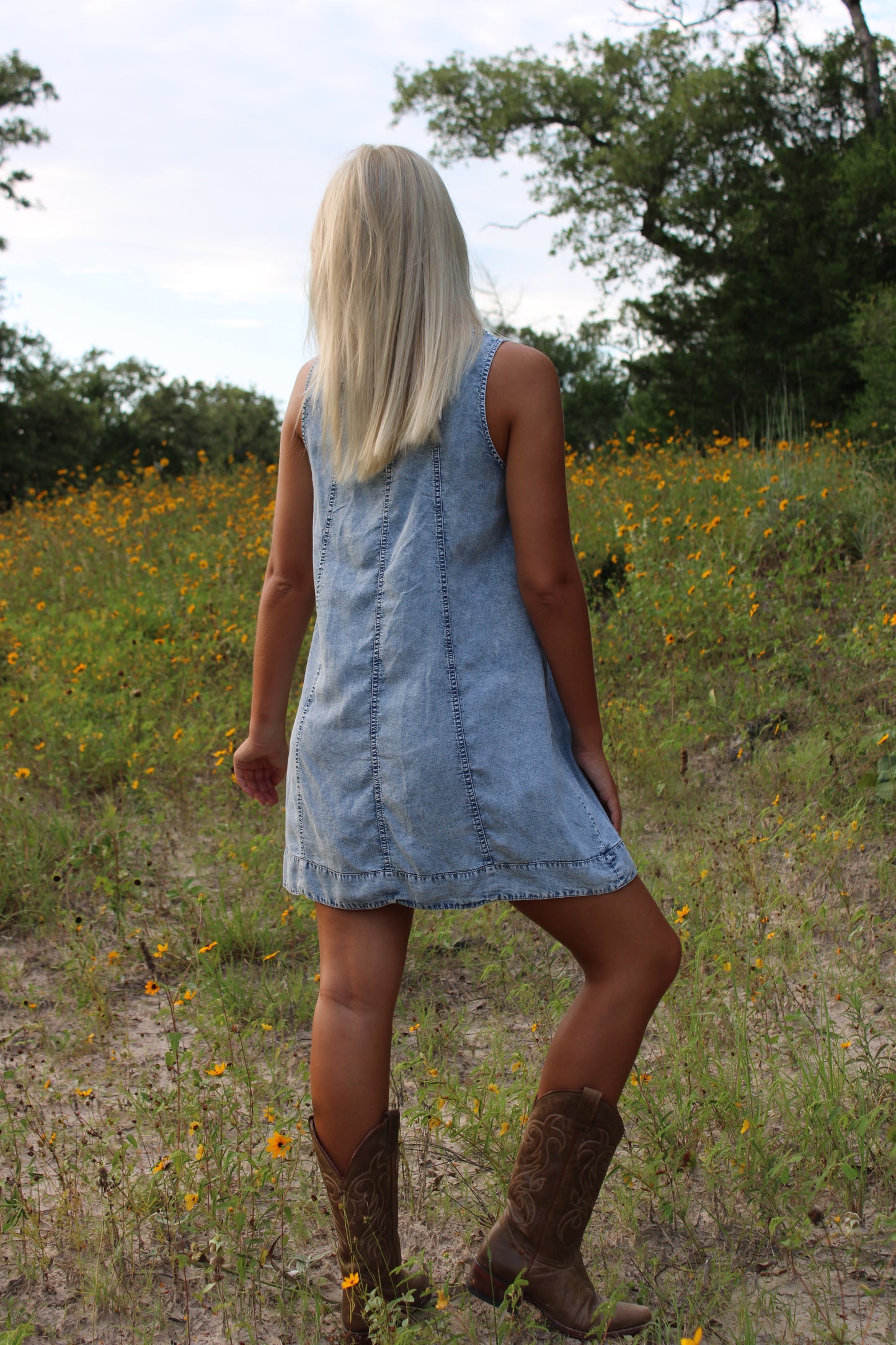 Sophie Chambray Mini Dress