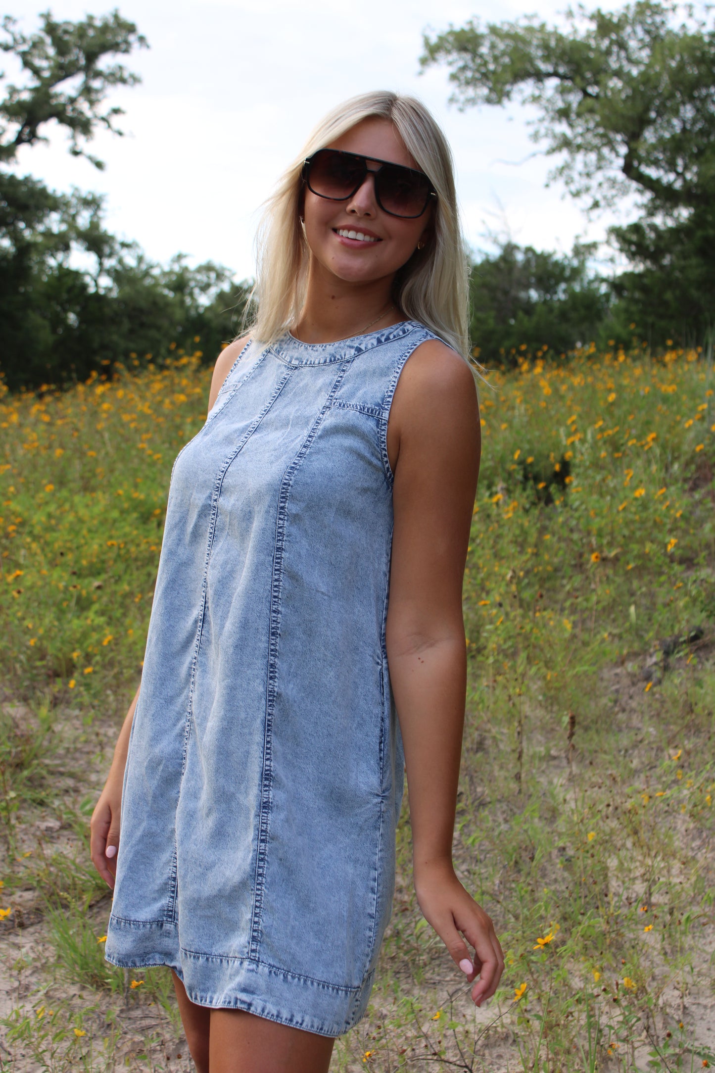 Sophie Chambray Mini Dress