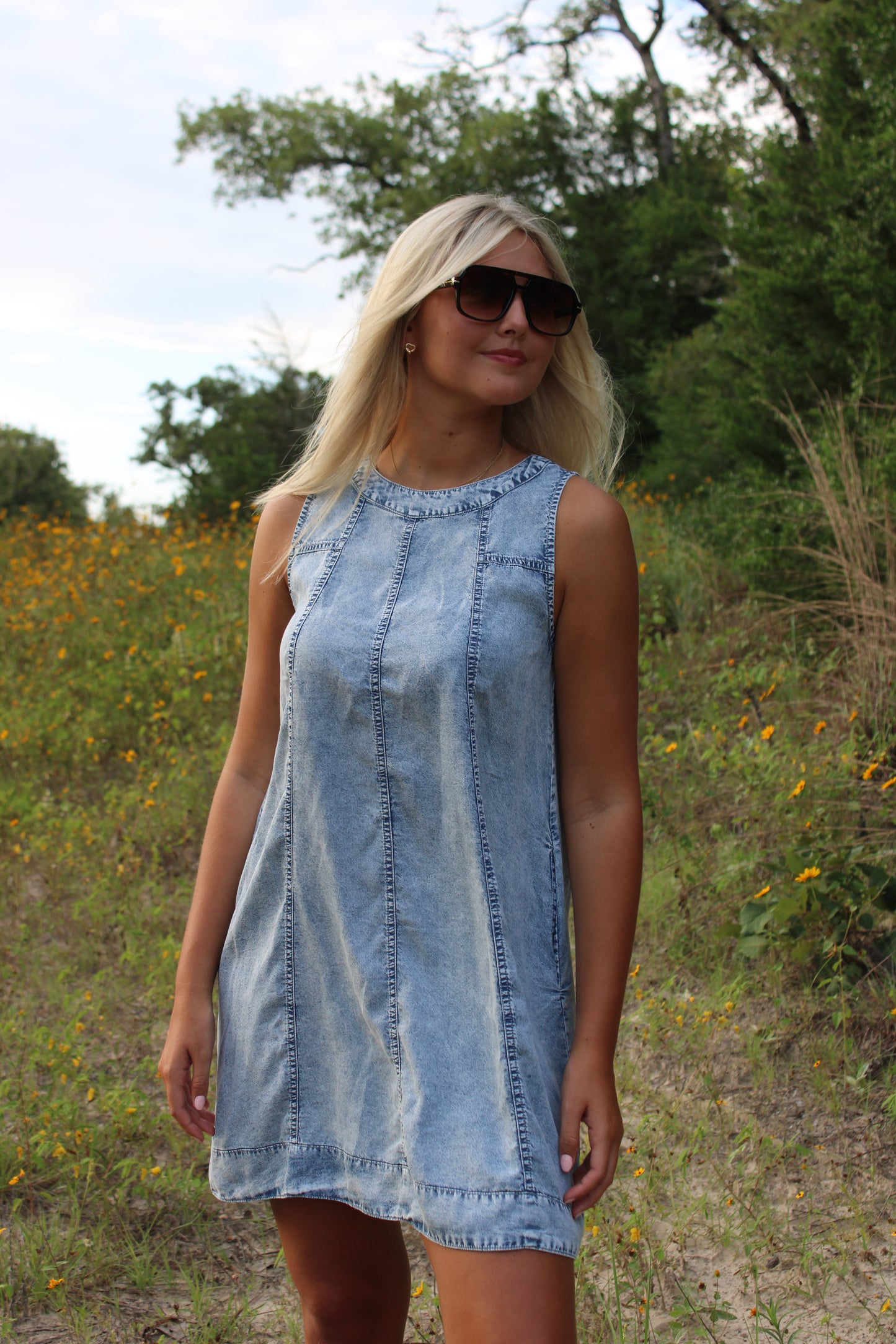 Sophie Chambray Mini Dress