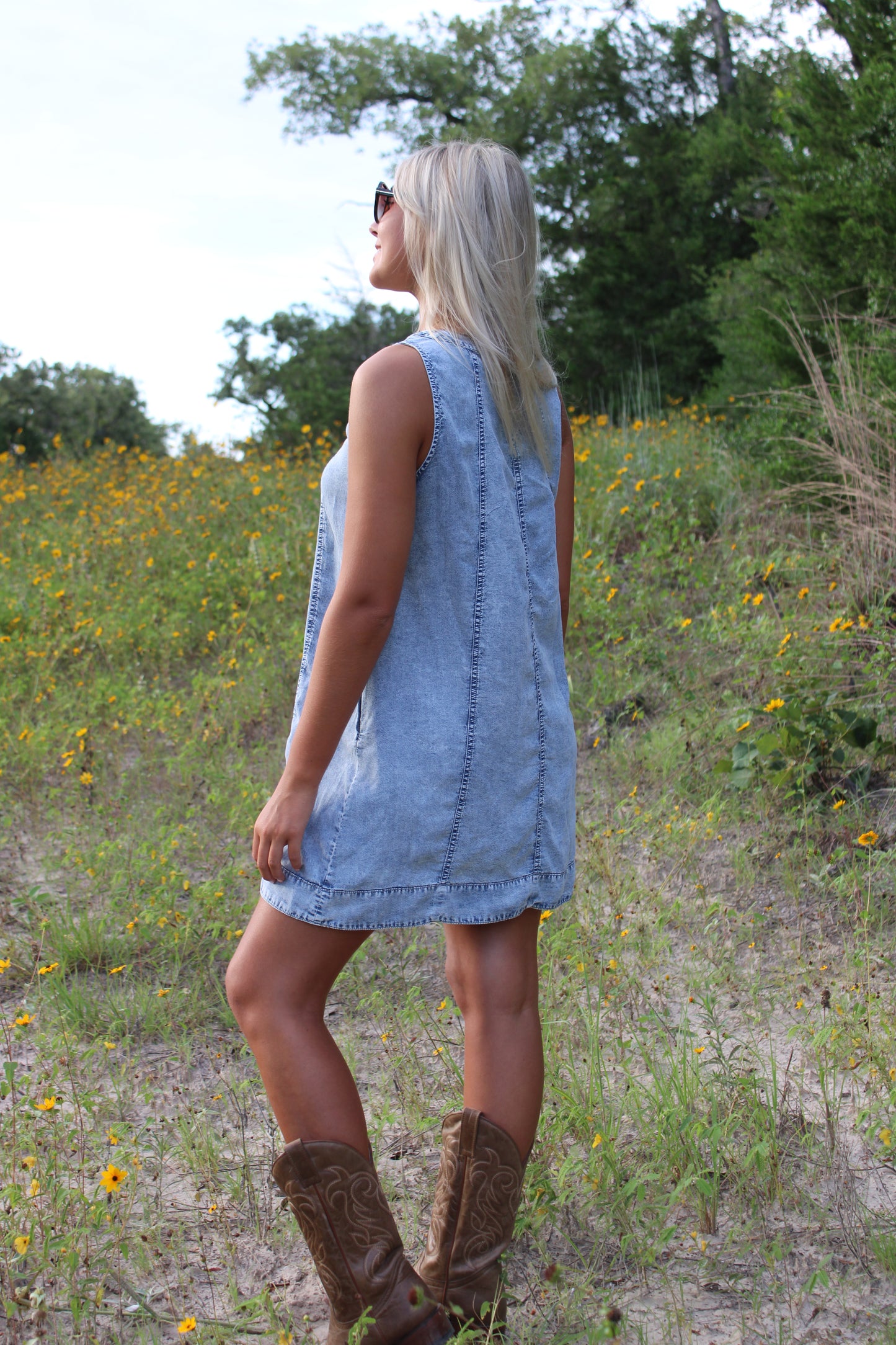 Sophie Chambray Mini Dress