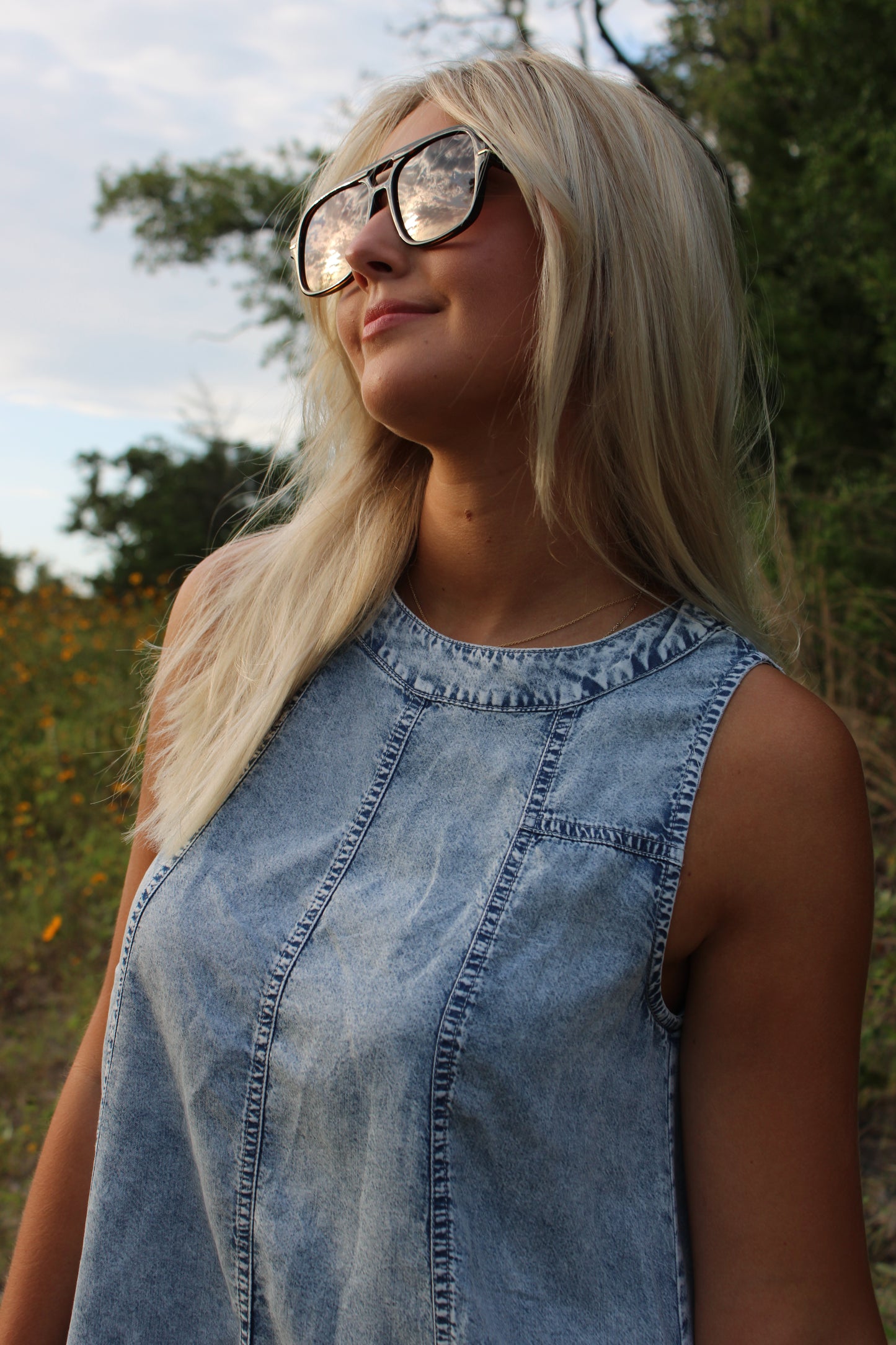 Sophie Chambray Mini Dress