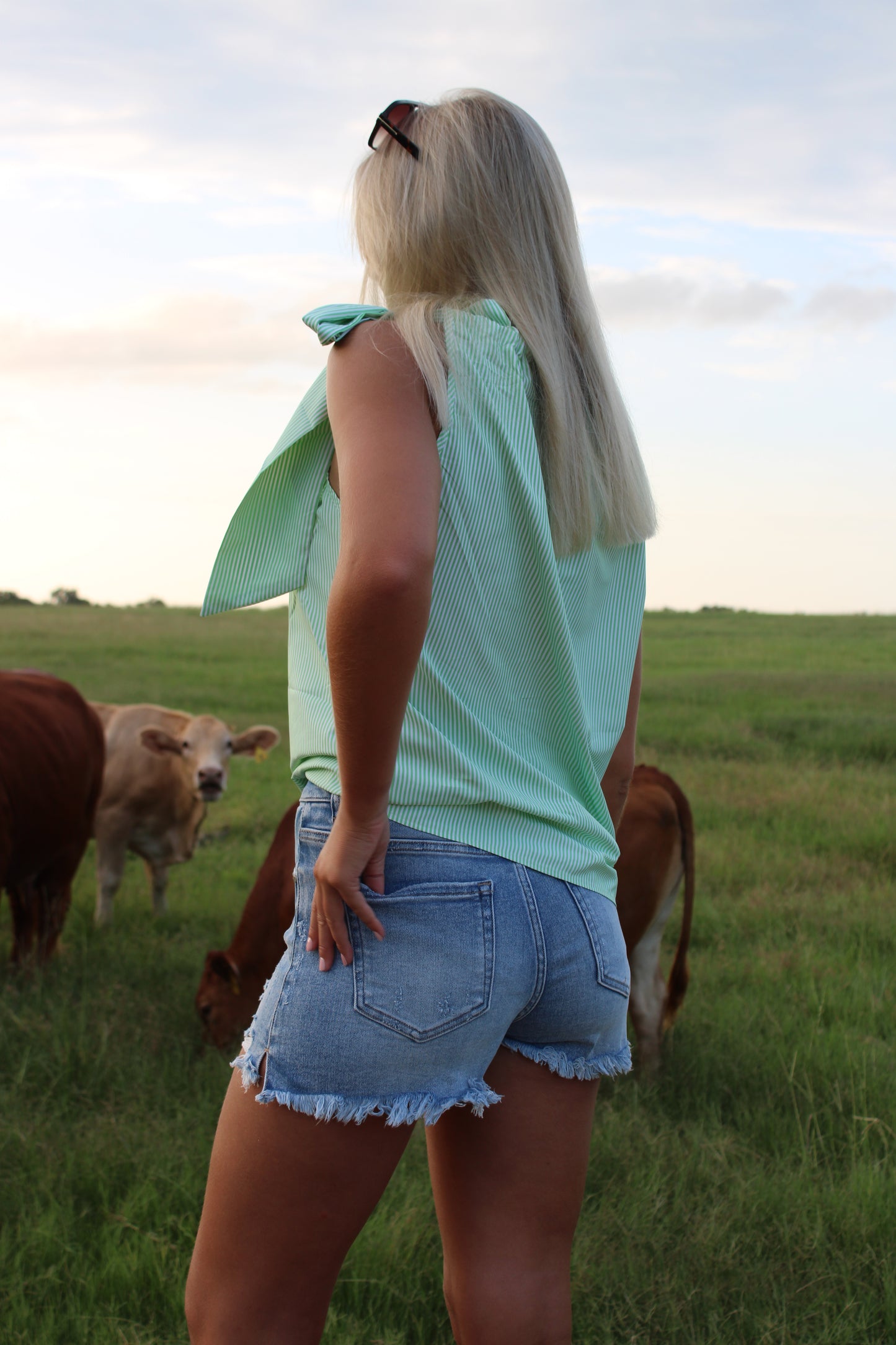 Jessie Distressed Shorts