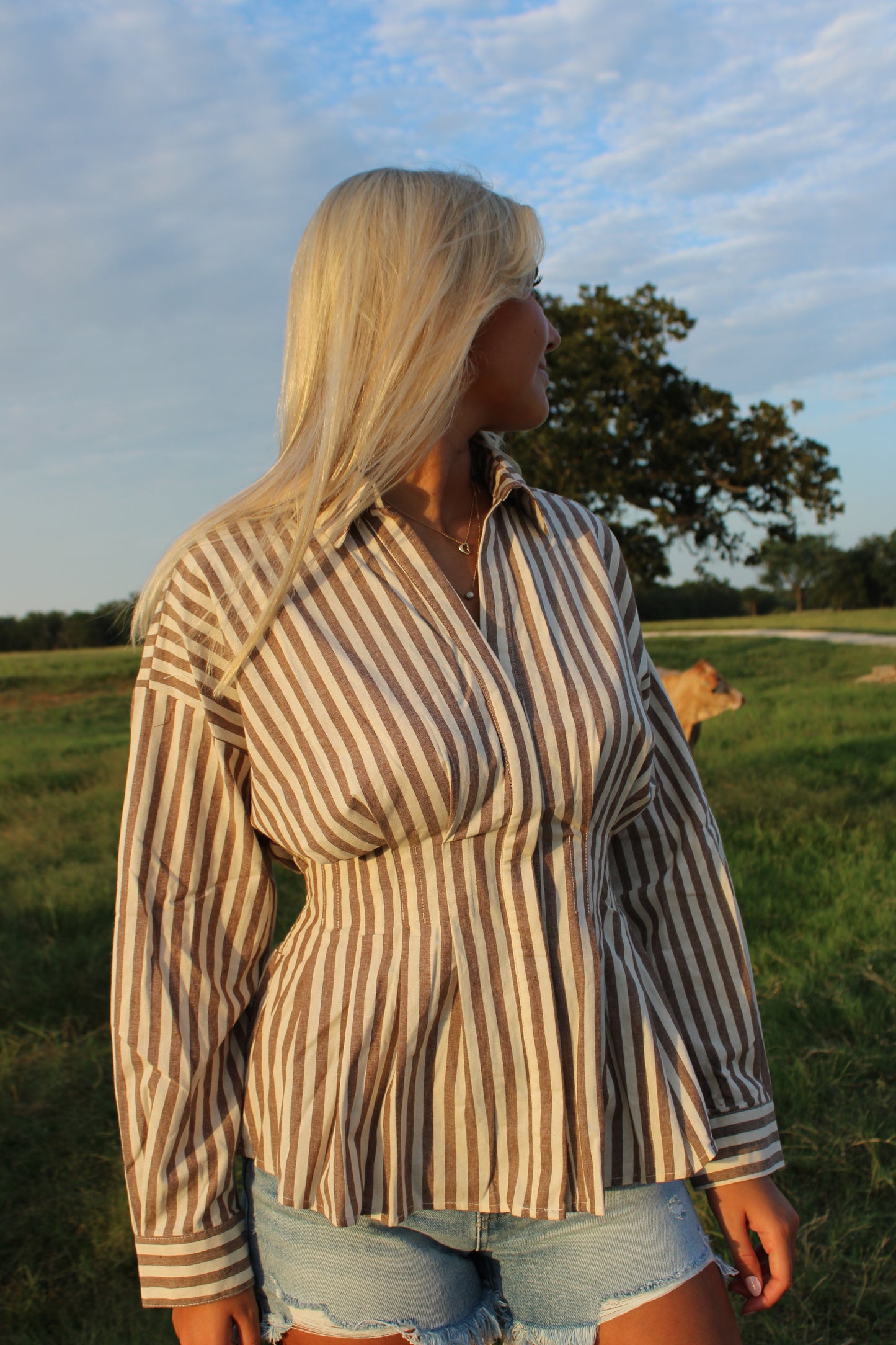 Kate Long Sleeve Stripe Button Down Top
